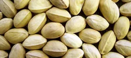 rashapistachio.com-Iranian-Pistachio-premium-rasha-pistachio-Closed-shell-pistachio.jpg rashapistachio.com-Iranian-Pistachio-premium-rasha-pistachio-Closed-shell-pistachio.jpg